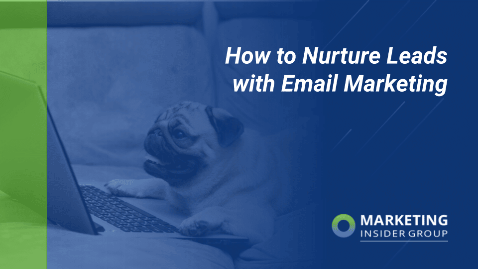 pug looking at his emails in awe