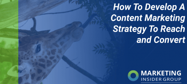 marketing strategy to reach and convert