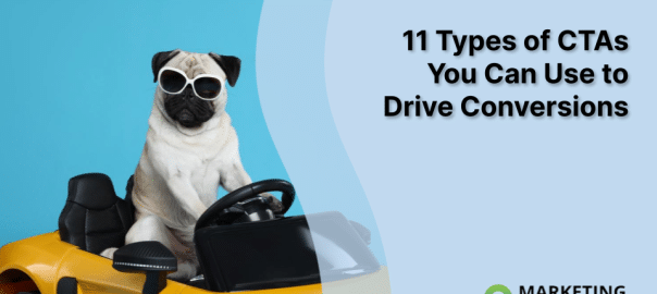 dog with sunglasses is driving a car and conversions with different types of CTAs