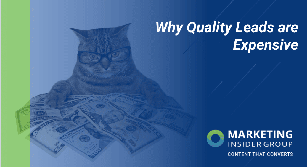 cat with money to show expensive leads