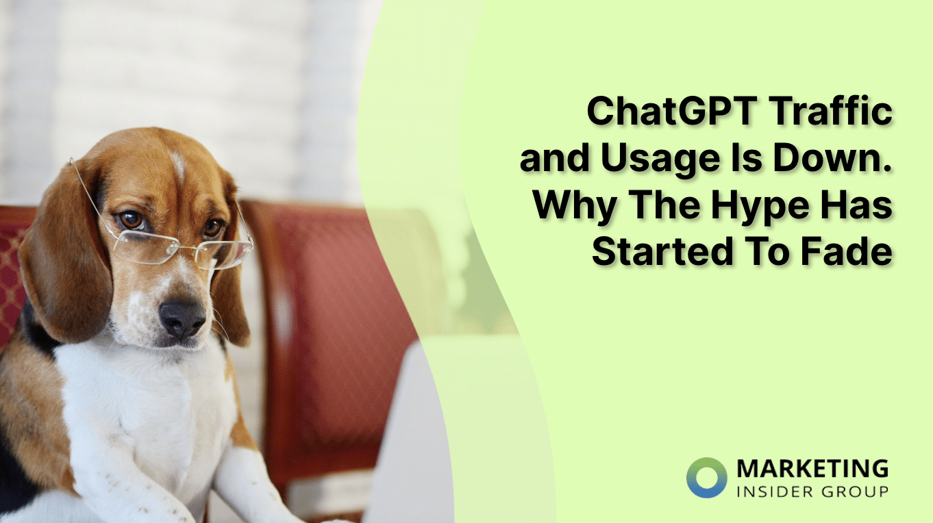 Dog with Glasses concerned that chaptgpt traffic and usage is down because the hype is starting to fade