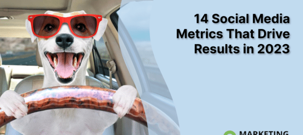 funny dog wearing sunglasses driving results with social media metrics