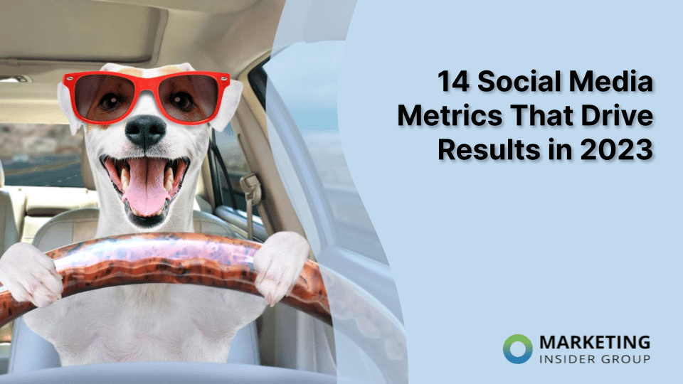 funny dog wearing sunglasses driving results with social media metrics