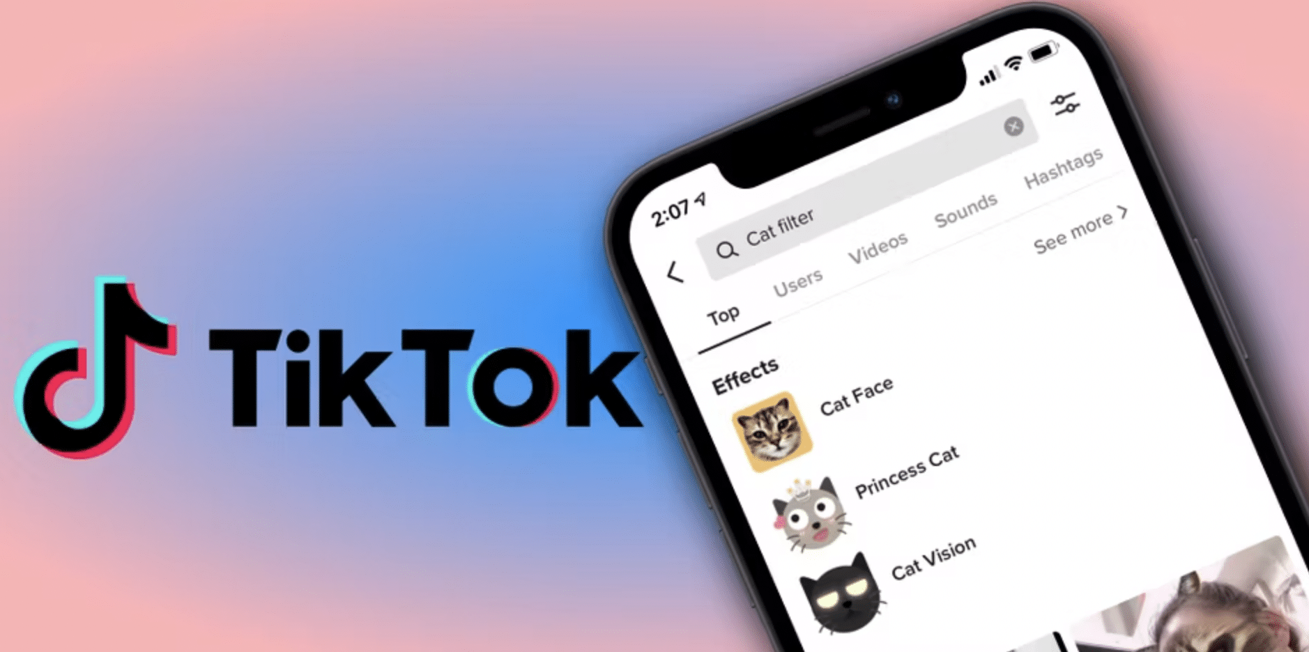 image shows TikTok search