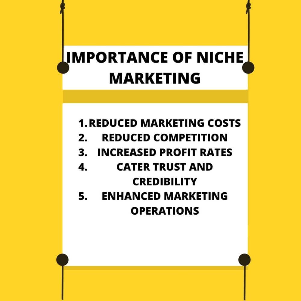 Niche marketing through audience segmentation brings higher profit margins and more customer loyalty